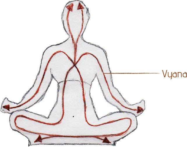 Yogi Tales | Βιοενεργειακή Ανατομία : Vayus (ενεργειακά ρεύματα) Yogi Tales | Βιοενεργειακή Ανατομία : Vayus (ενεργειακά ρεύματα)